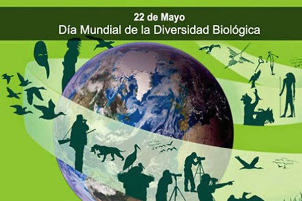 Biodiversidad.jpg