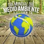 dia medio ambiente.jpg