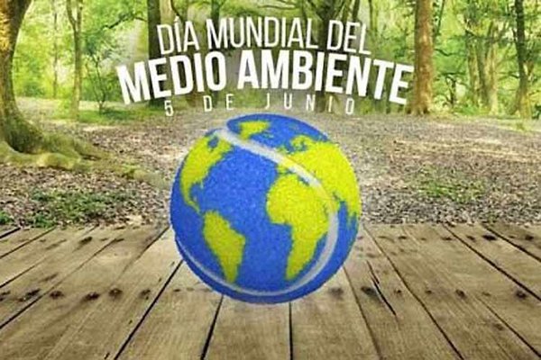 dia medio ambiente.jpg